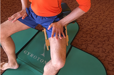 Gyrokinesis Gyrotonic Seattle