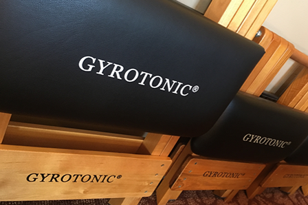Gyrokinesis Gyrotonic Seattle